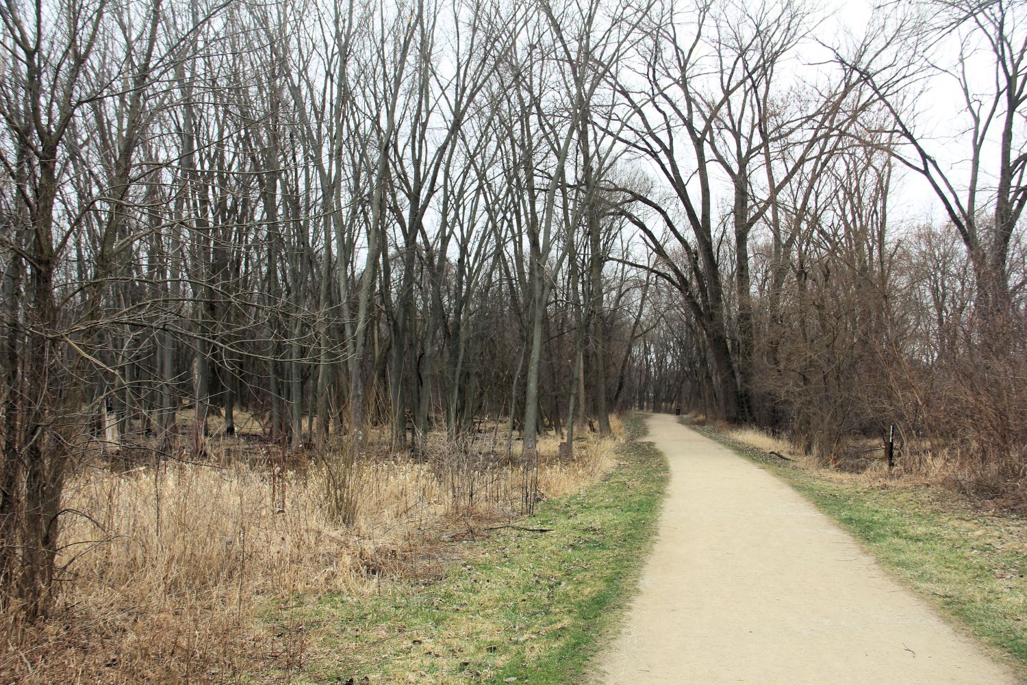 McHenry Dam State Park 